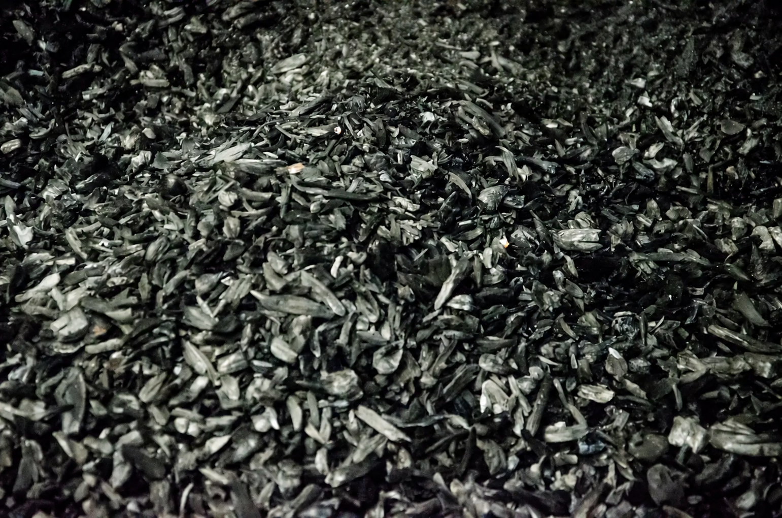 Close-up of freshly produced biochar